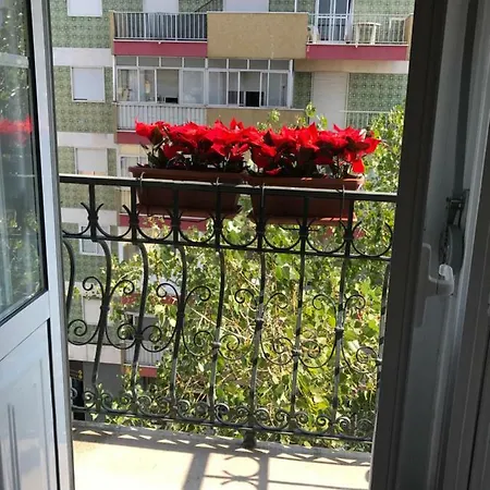 Luciano Resident Apartment *